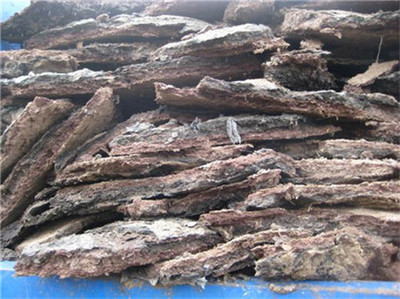 海南臨高椰子種植專用生物有機肥的研發與應用前景