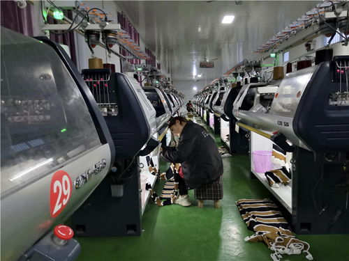 河南葉縣 鄉村制衣作坊做起了 國際生意